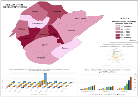 Diseases  of the circulatory system in Tashkent