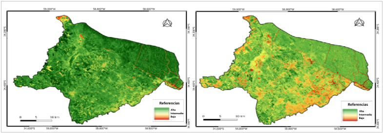 Índice de NDVI 1990-2020