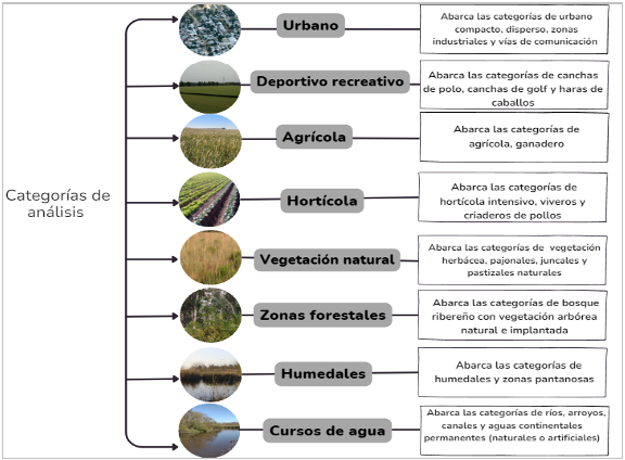 Definición de las categorías